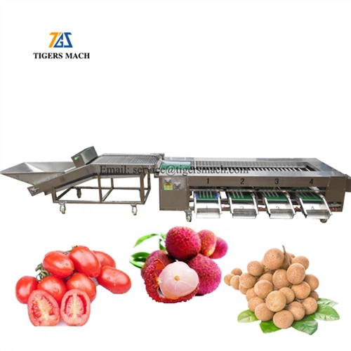 Mașină de sortat date